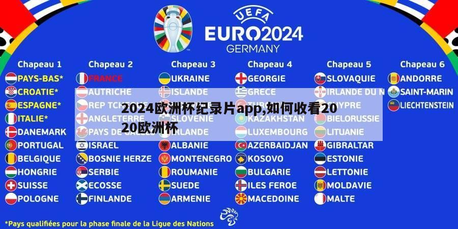 2024欧洲杯纪录片app,如何收看2020欧洲杯